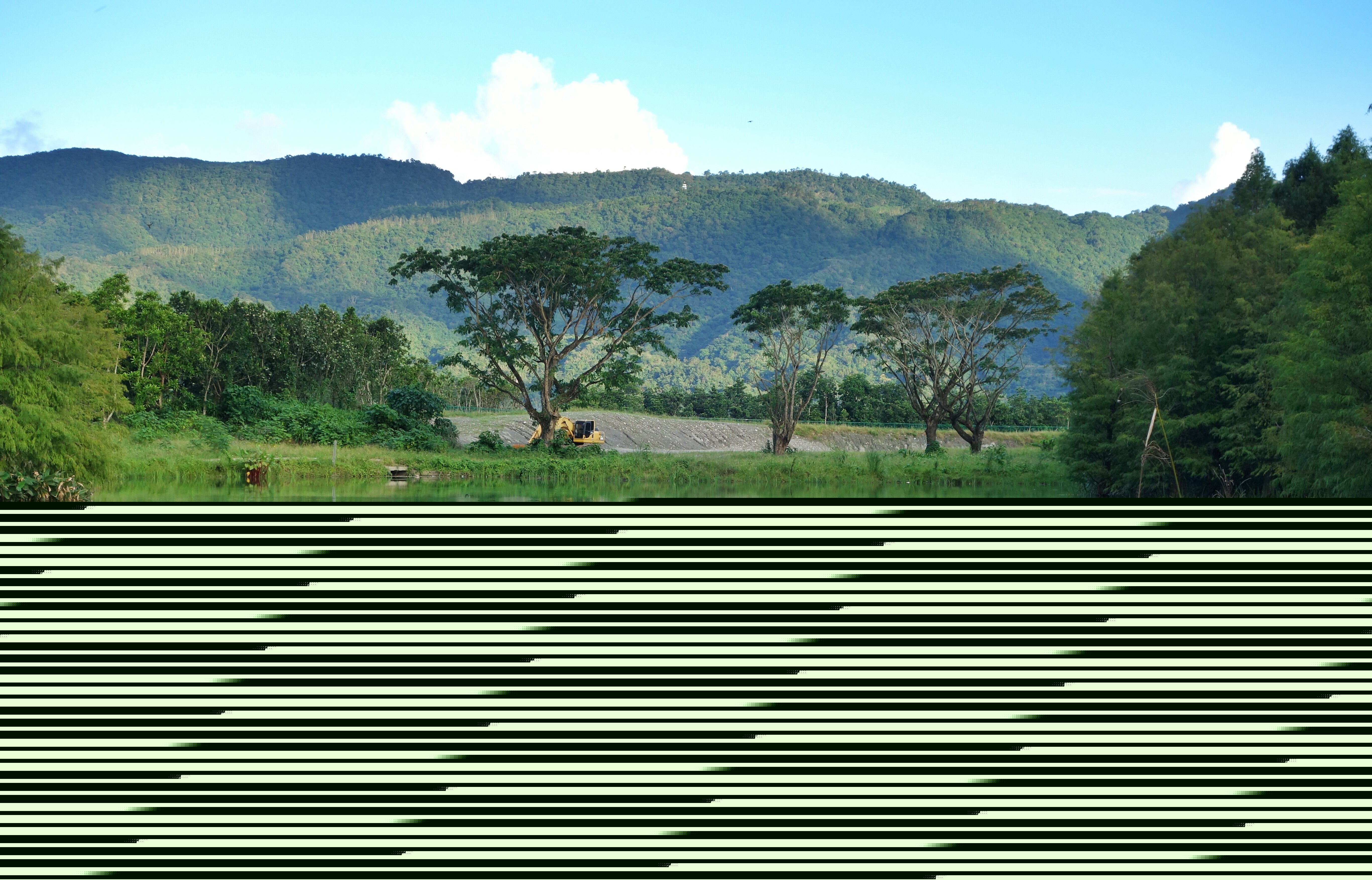 全面推進美麗中國建設(shè) 習(xí)近平倡導(dǎo)人與自然和諧共生