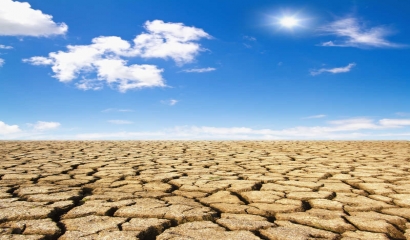 干旱區(qū)生物多樣性保護(hù)的形勢(shì)與任務(wù)