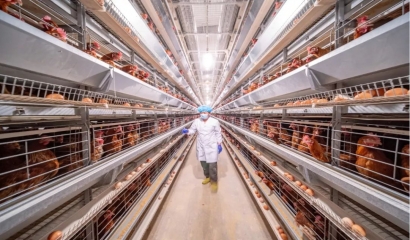 屠宰廢水處理技術(shù)示例